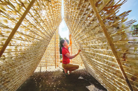 Mềm mại, óng ánh như sắc tơ Bảo Lộc