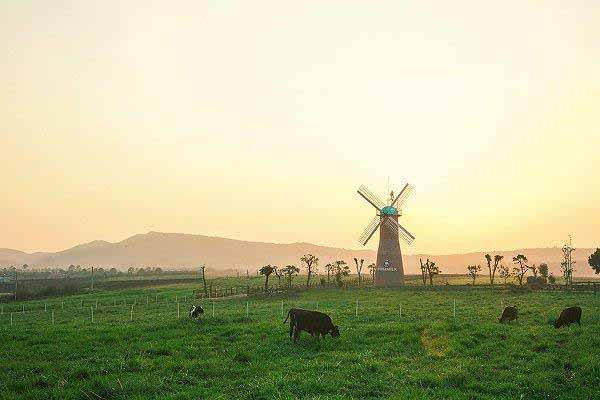 Cập nhật 4 điểm vui chơi mới nổi ở Đà Lạt