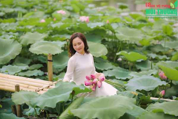 Săn ảnh đẹp cùng những thiên đường hoa rực rỡ vào mùa hè