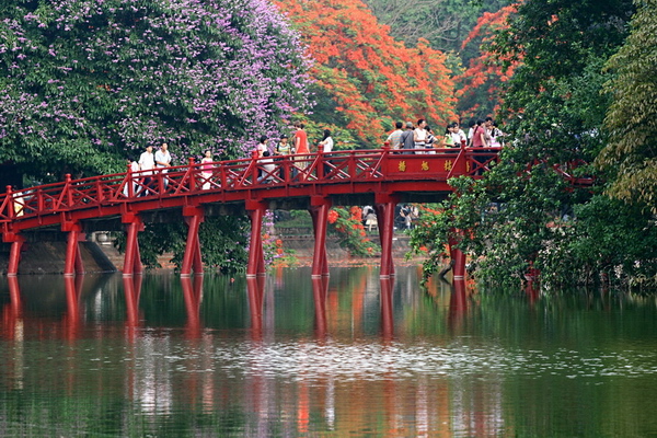 Hoa phượng thắp lửa bên Hồ Gươm