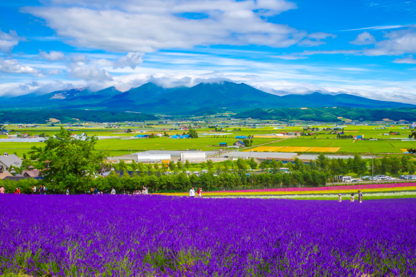 Mùa hè xứ Phù Tang đẹp quên lối về