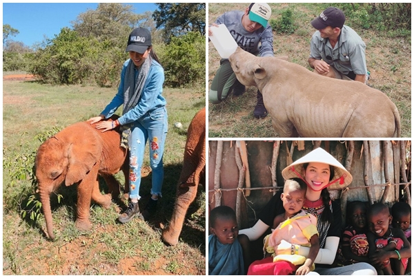 Phan Anh, Lệ Hằng, Phạm Hương trong bộ 2 bộ phim ngắn về động vật hoang dã