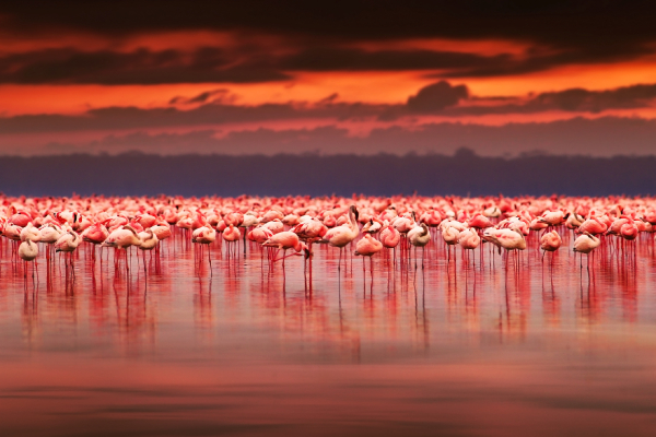 Trải nghiệm khó quên ở miền thiên nhiên hoang dã hàng đầu thế giới