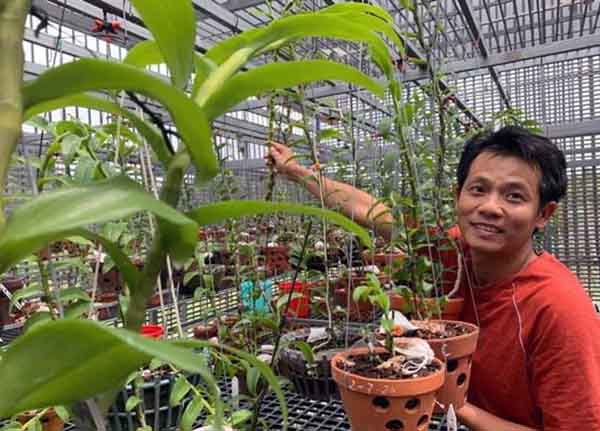 Chủ vườn lan 60 tỉ nói về giá trị thật của lan đột biến