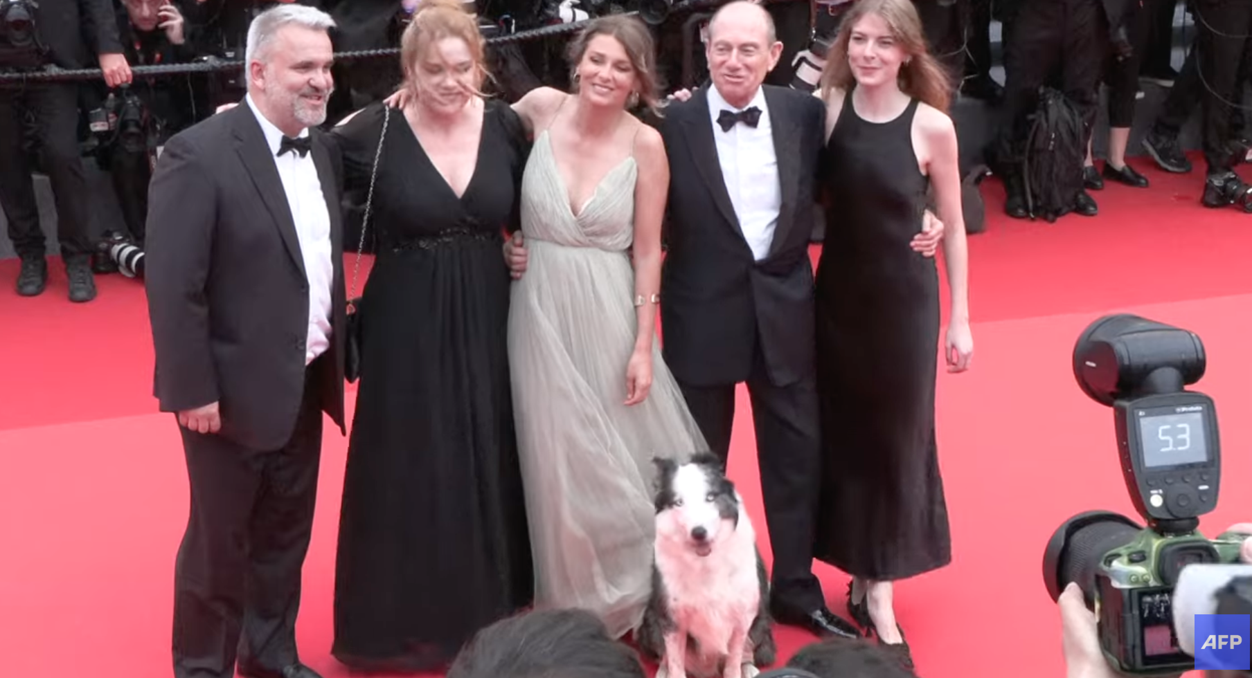 Clip: Chú chó Messi gây chú ý trên thảm đỏ Cannes 2024