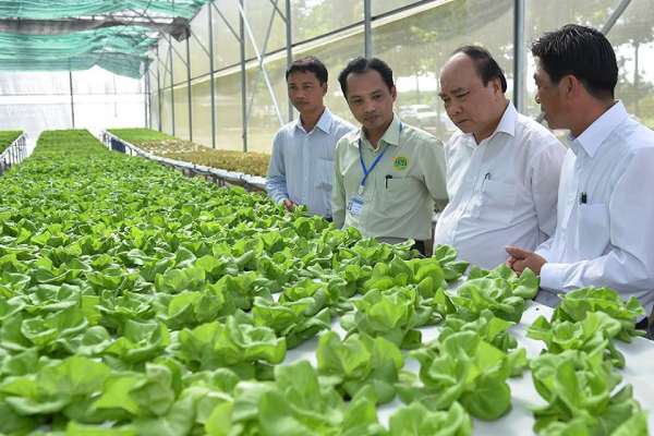 Vẫn còn rất nhiều dư địa cho “chim sẻ” làm nông nghiệp