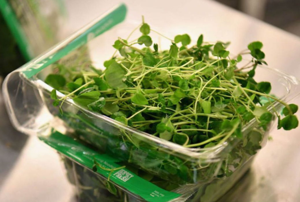 7 loại thực phẩm hỗ trợ não bộ mà bạn nên bổ sung để cải thiện sức khỏe não