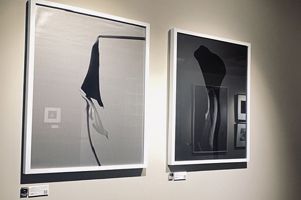 Tìm về chánh niệm qua triển lãm ‘Hoa mắt’