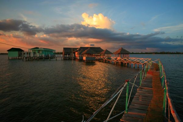 Đầm Thị Tường – Điểm du lịch hoang sơ đầy tiềm năng của Cà Mau