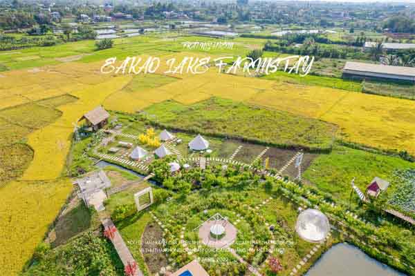 Có một nông trại sinh thái đẹp mơ màng với cầu tình yêu và căn phòng bong bóng