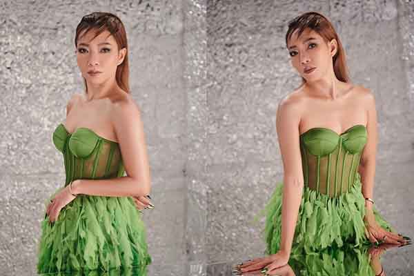 ‘Phượng hoàng lửa’ Hà Trần tái xuất, ‘bắt tay’ cùng Dược sĩ Tiến?