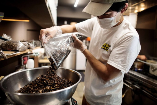 Ẩm thực côn trùng – những món ăn “độc nhất vô nhị” của đầu bếp Nhật