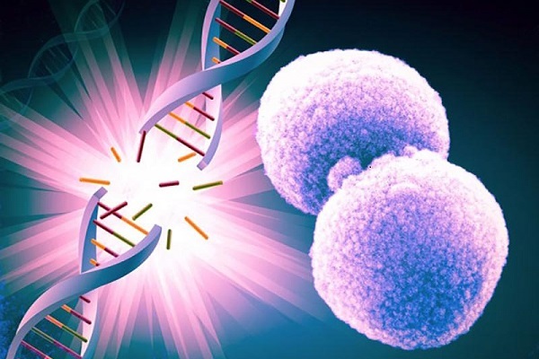 Khoa học chứng minh có thể đảo ngược quá trình lão hóa sinh học