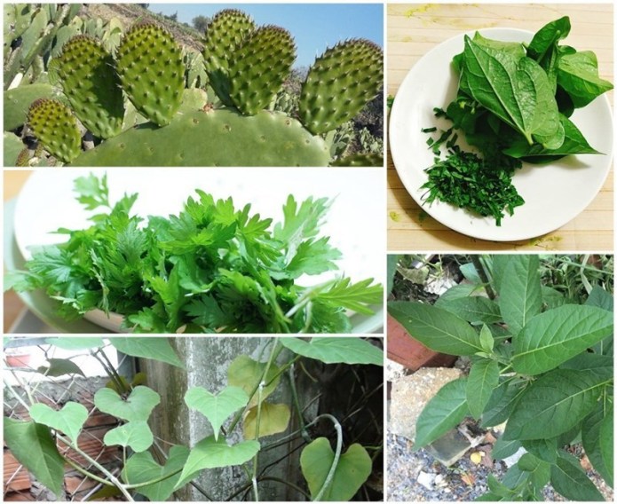 Chữa thoái hóa cột sống lưng bằng các bài thuốc hiệu quả sau