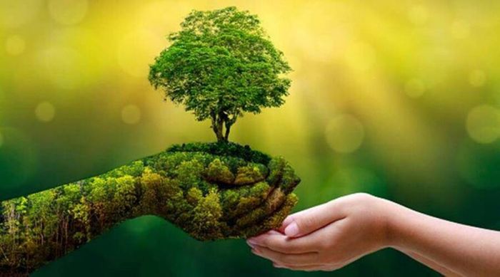 Hướng về Ngày Trái Đất (22.4): Giao cảm với thiên nhiên