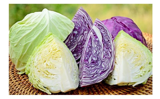 Mẹo nhỏ chọn bắp cải ngon và an toàn cho bữa cơm gia đình