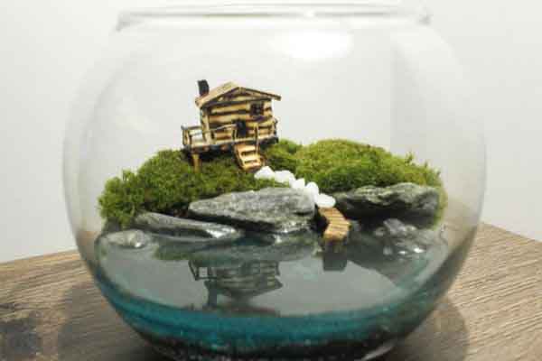 Thú chơi mang cả rừng cây, núi non vào nhà