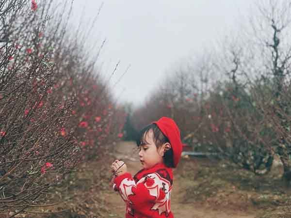 Cô bé hai tuổi rưỡi làm duyên bên vườn đào ai nhìn cũng thích mê