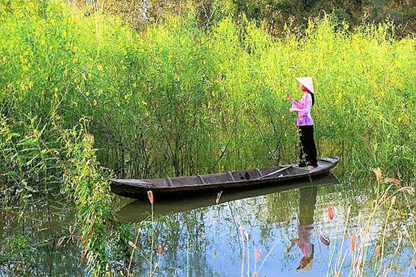 Quê hương là gì hở mẹ? Kỳ 28: Bông điên điển