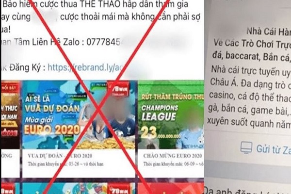 Gần 170 trang về giáo dục bị tấn công, cài nội dung cá độ, cờ bạc