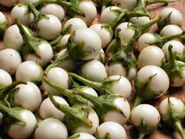 Nhìn lại quan niệm ‘một quả cà ba thang thuốc’