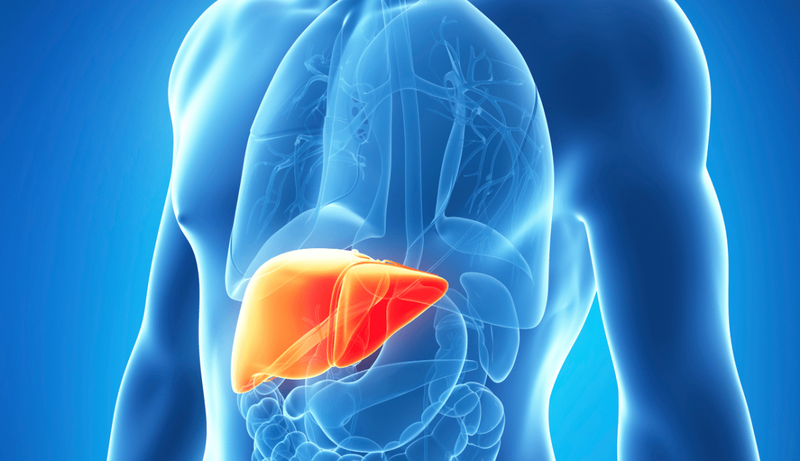 Lần đầu tiên Thế giới ghi nhận trường hợp người lây viêm gan E từ chuột