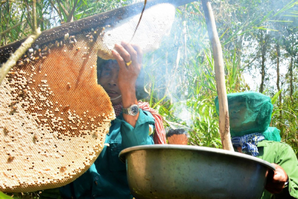 Cà Mau tận dụng lợi thế tự nhiên để phát triển du lịch cộng đồng