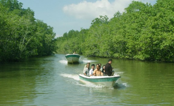 Đến rừng nguyên sinh này rồi ai cũng chẳng thể quên