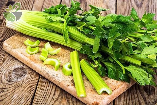 Tổng hợp các loại thực phẩm “cấp nước” cho da từ bên trong