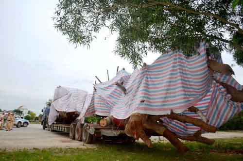 Một tài xế ở Quảng Ngãi né cảnh sát