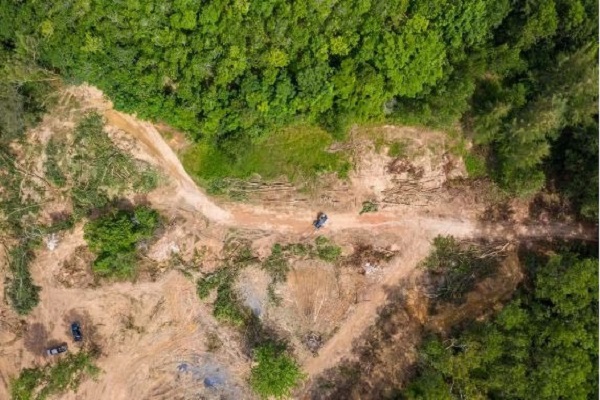 Hàng loạt bệnh nguy hiểm mới có thể xuất hiện sau COVID-19 và đậu mùa khỉ