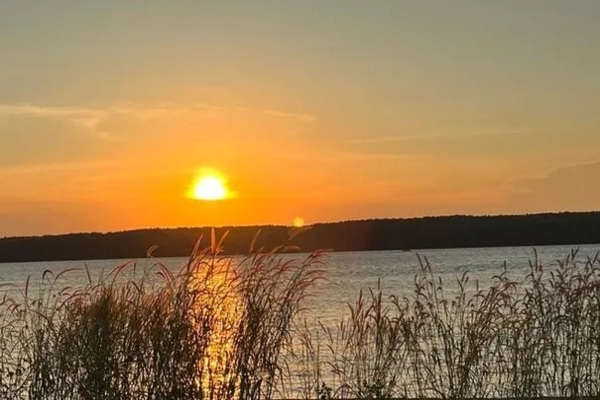 Ngất ngây vẻ đẹp mùa cỏ hồng ở ấp đảo Thiềng Liềng