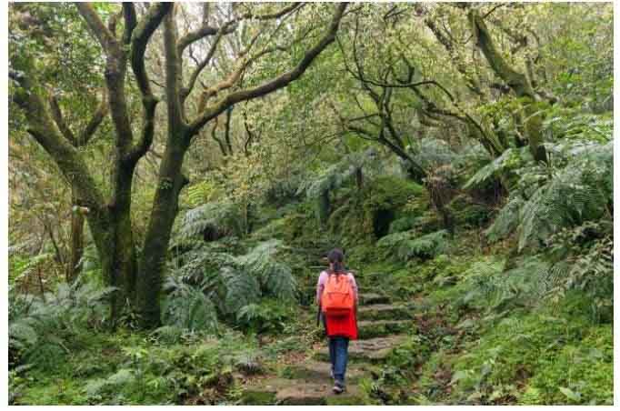 Những điểm đến yên tĩnh tự nhiên còn sót lại trên hành tinh