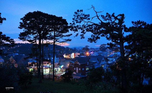 Đà Lạt Hoàng Hôn – Cẩm Ly