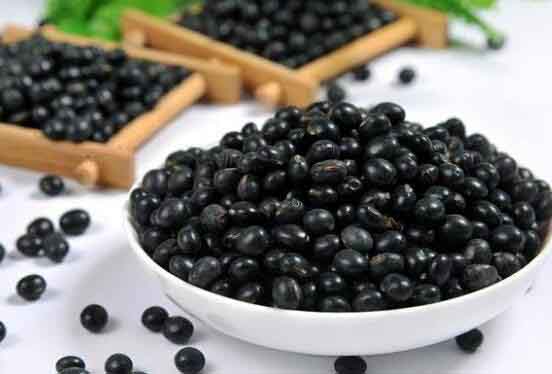 Bài thuốc dân gian: Trị tóc bạc bằng đậu đen