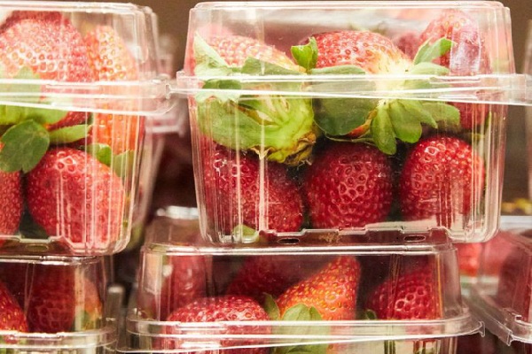 New Zealand phát hiện thêm vụ dâu tây bị nhét kim