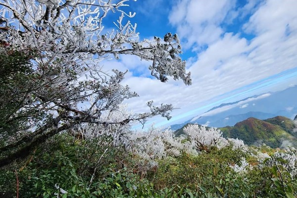 Điểm đến đón mùa đông thú vị nhất Việt Nam