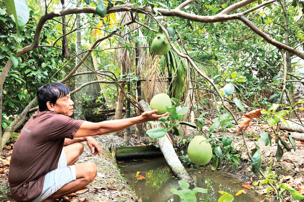 Phát triển du lịch sinh thái trở thành thế mạnh du lịch