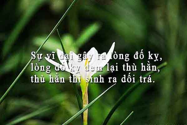 Đố kỵ – trọng bệnh của người Việt?