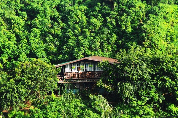 Đi trốn ở các homestay xanh rì tại Đà Lạt