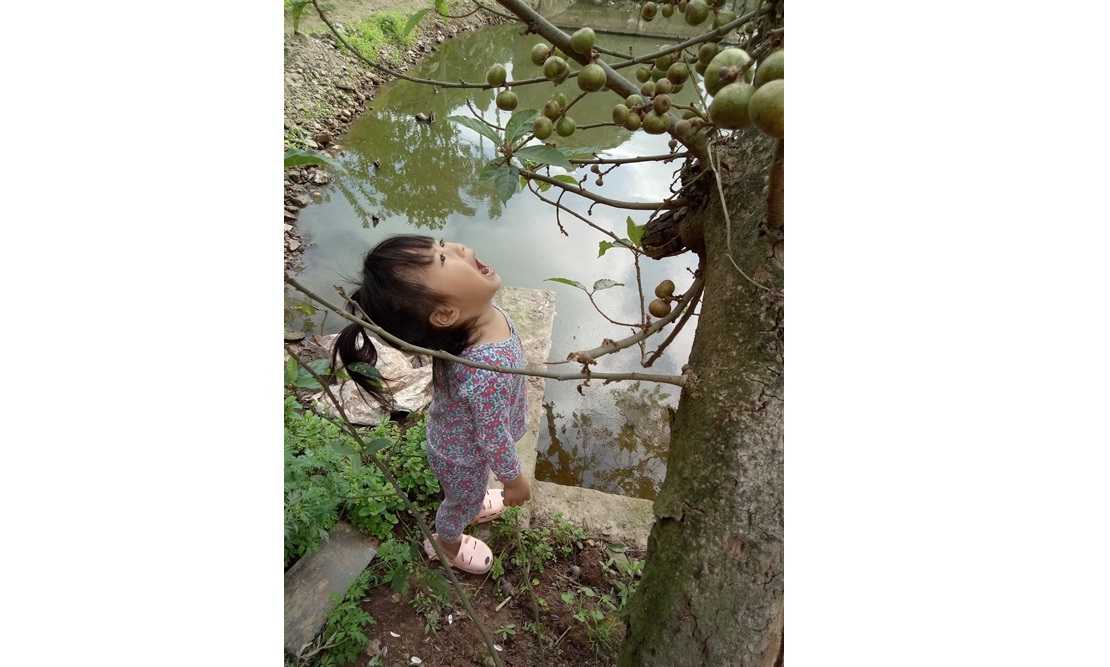 Tin lời chị, em bé này… há miệng chờ sung rụng