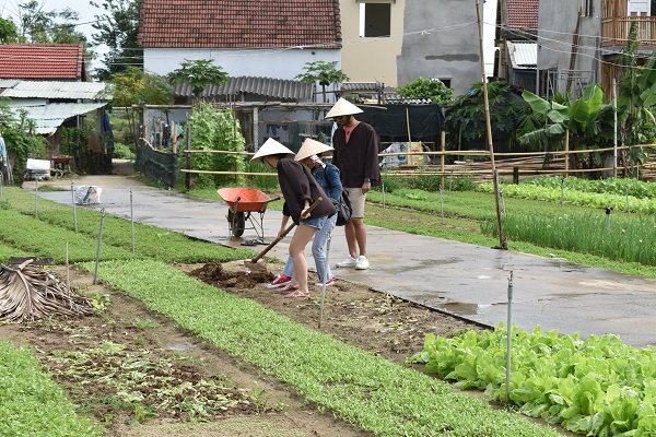 Farmstay: Bán phòng hay bán trải nghiệm?
