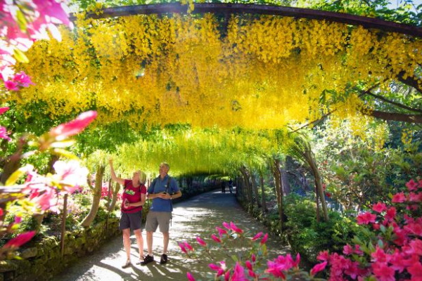 Khám phá 10 khu vườn xanh mát của London