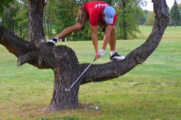 Thư giãn cùng những bức ảnh golf vô cùng hài hước