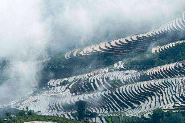 Ngành du lịch chưa kịp vui thì lại buồn