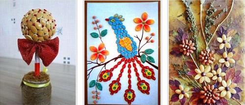 Lạ mắt với hoa hạt bí độc đáo