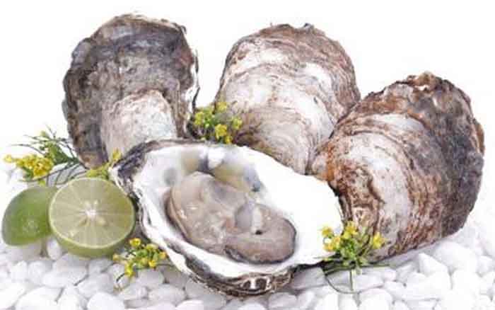 Mê ăn hàu cần biết