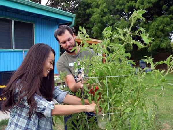 Đại dịch đã thay đổi cuộc sống của người dân Hawaii như thế nào