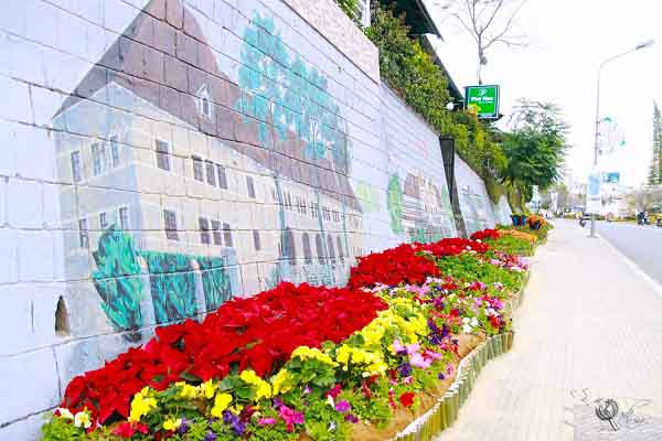 Đường hoa rực rỡ và đẹp mắt trước thềm Festival hoa Đà Lạt