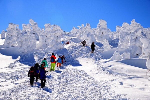 Kỳ thú hiện tượng quái vật tuyết núi Zao